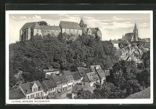 AK Leisnig, Teilansicht mit Schloss Mildenstein