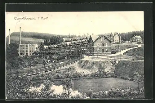 AK Tannenbergsthal i. Vogtl., Blick auf die Villen am Hang