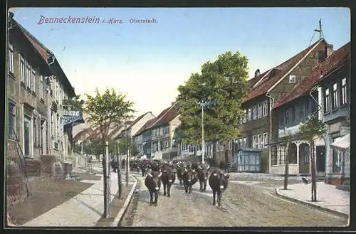 AK Benneckenstein i. Harz, Kühe beim Abtrieb in der Oberstadt