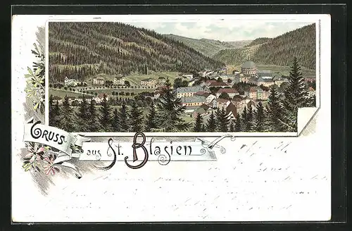 Lithographie St. Blasien, Gesamtansicht