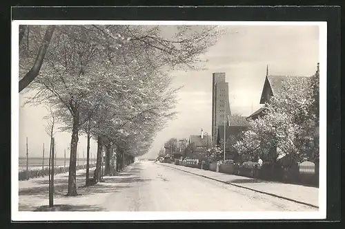 AK Laboe, Strandstrasse mit Blick auf den Turm des Marine-Ehrenmals