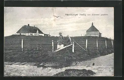 AK Hamburger Hallig, Insel von Südwest gesehen