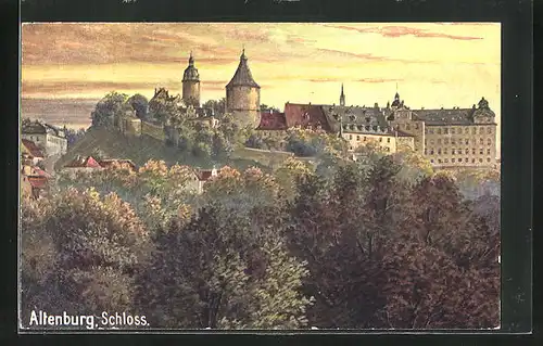 AK Altenburg, Panoramablick auf das Schloss
