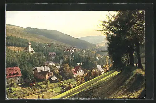 AK Kipsdorf i. Erzgeb., Panoramablick auf den Ort