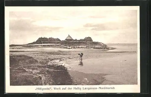 AK Hallig Langness-Nordmarsch, Werft Hilligenlei