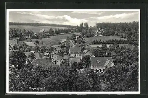 AK Sorge / Harz, Ortspanorama