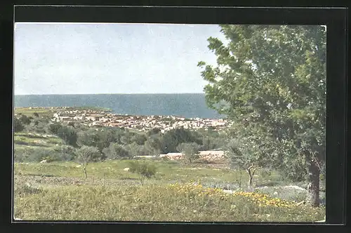 AK Haifa, Panorama