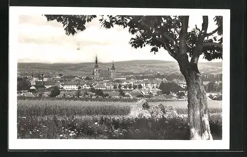 AK Wischau / Vyskov, Panoramablick zum Ort