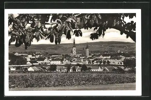 AK Wischau / Vyskov, Panoramablick zum Ort