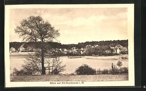 AK Alt-Buchhorst i. M., Blick auf den See