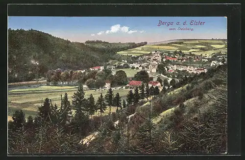 AK Berga a. d. Elster, Blick vom Steinberg