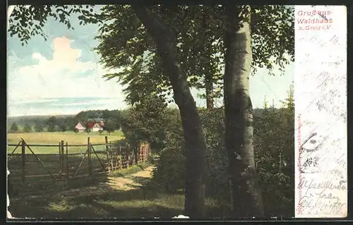 AK Waldhaus b. Greiz, Blick auf den Ort