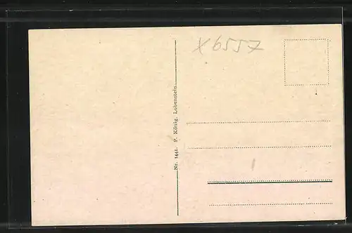 AK Ziegenrück, Blick von der Pohlmannsbank