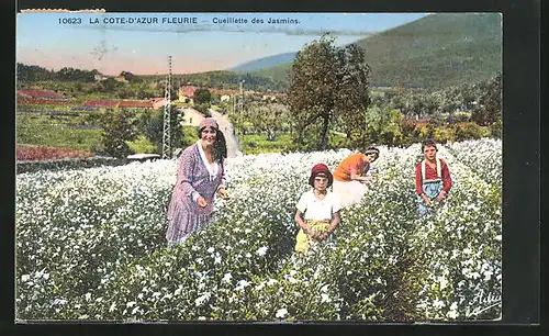 AK La Côte d`Azur Fleurie, Cueillette des Jasmins, Frauen pflücken Blumen