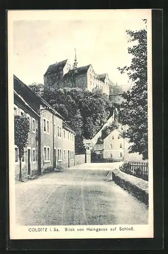 AK Colditz i. Sa., Strassenpartie von Haingasse mit Schloss