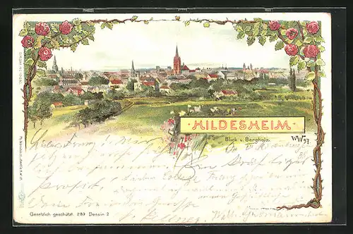 Lithographie Hildesheim, Ortsansicht, Blick v. Bergholz