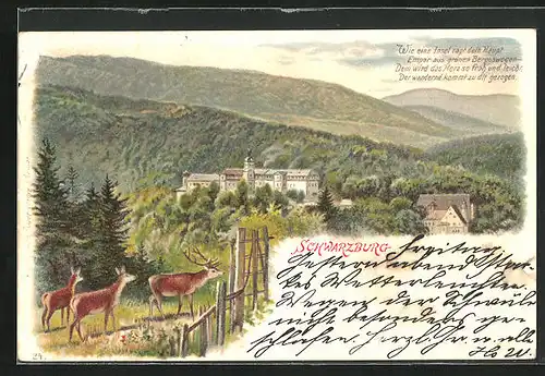 Lithographie Schwarzburg, Hirsche vor der Burg