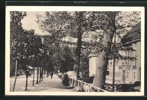 AK Bad Elster, Strasse am Albertbad