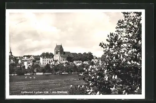 AK Lychen u. M., Blick auf den Stadtsee