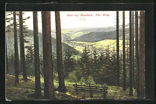 AK Manebach / Thür. Wald, Blick auf den Ort