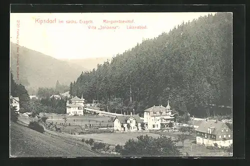 AK Kipsdorf i. Sächs. Erzgeb., Blick auf die Villa Johanna