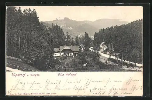 AK Kipsdorf i. Erzgeb., Blick auf die Villa Waldhof