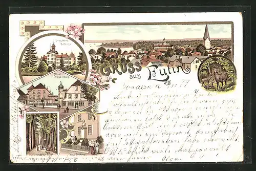 Lithographie Eutin, Hotel Voss-Haus, Voss-Denkmal, Grossherz. Schloss