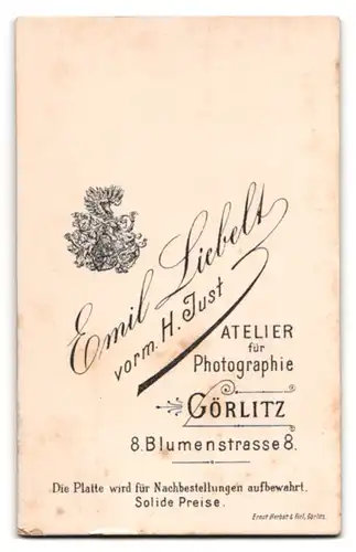 Fotografie Emil Liebelt, Görlitz, Blumenstr. 8, Portrait junger Mann im Anzug mit Fliege und Zwicker Brille