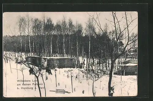 AK Hornburg / Harz, Willeckens Lust am kleinen Fallstein im Winter