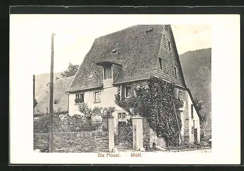 AK Wolf an der Mosel, Strasse mit Gebäudeansicht