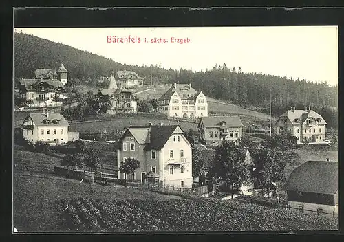 AK Bärenfels i. sächs. Erzgeb., Blick auf den Ort