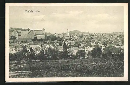 AK Colditz i. Sa., Blick auf die Stadt