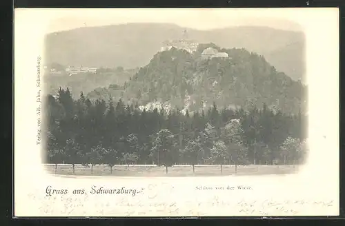 AK Schwarzburg, Schloss von der Wiese