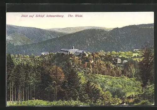 AK Schwarzburg / Thür. Wald, Blick auf das Schloss Schwarzburg