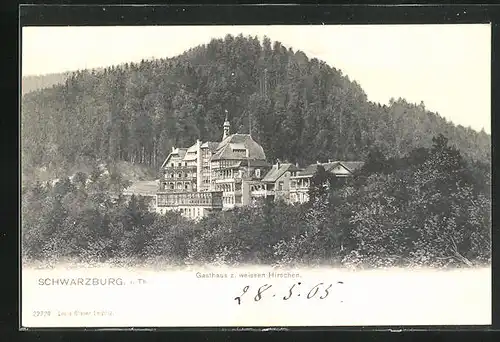 AK Schwarzburg i. Th., Gasthaus zum Weissen Hirschen