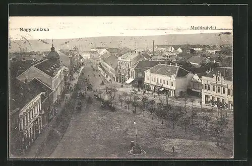 AK Nagykanizsa, Madártávlat