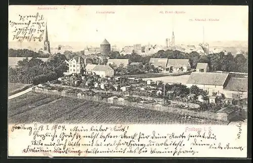 AK Freiberg i. Sa., Blick auf eine Kleingartenanlage, St. Petrikirche, Jacobikirche