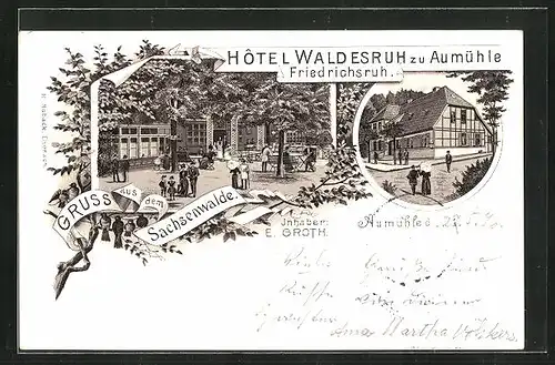 Lithographie Friedrichsruh, Hôtel Waldesruh zu Aumühle