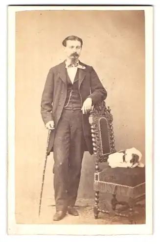 Fotografie J. Goliasch Fils, Genève, Rue du Rhône 29, Portrait Mann im Anzug mit Hund und Gehstock