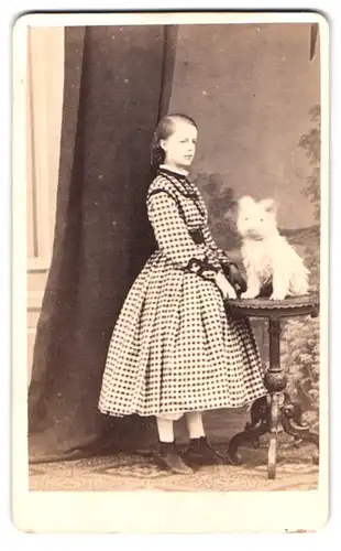 Fotografie Dietz & Kaselowsky, Aschersleben, Portrait Mädchen im karierten Kleid mit weissem Hund auf dem Tisch