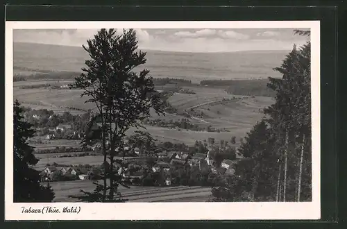 AK Tabarz / Thür. Wald, Ansicht auf den Ort von einem Hügel aus