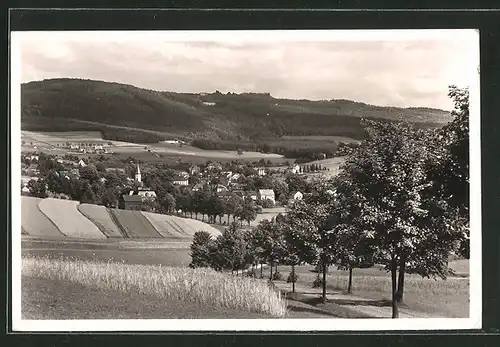 AK Erlbach i. Vogtland, Blick auf die Gebirgssommerfrische