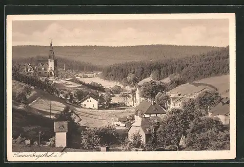 AK Tannenbergsthal i. Vogtl., Blick über das Thal mit Kirche