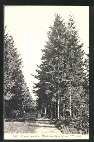 AK Brunshaupten, Partie aus dem Blocksbrückenweg