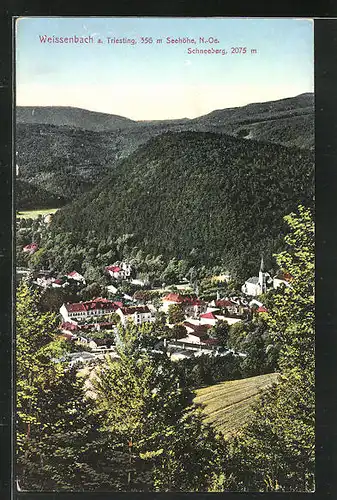 AK Weissenbach a. Triesting, Ortschaft im Tal mit Schneeberg