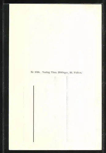 AK Hohenberg, Totalansicht von der Schadek-Höhe