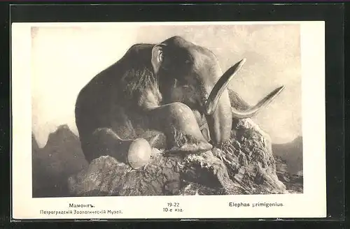 AK Elephas primigenius, Rotes Kreuz Russland