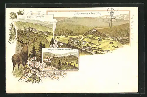 Lithographie Schwarzburg, Teilansicht v. Tripstein, Schloss mit Terrasse und Kirschweise, Schloss vom Helenensitz