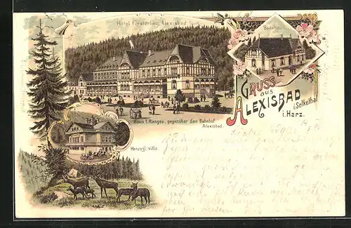 Lithographie Alexisbad i. Selkethal, Herzogl. Villa und Haus1. Ranges gegenüber dem Bahnhof