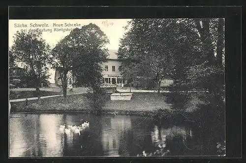 AK Königstein / Sächs. Schweiz, Gasthaus Neue Schenke